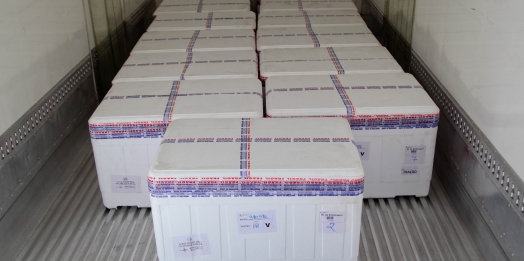 Serranópolis do Iguaçu recebe doses da vacina contra o Covid-19