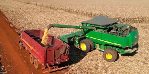 Sicredi disponibiliza R$ 66,5 bilhões no Plano Safra 2024/2025