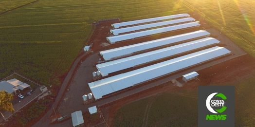 Sicredi financia construção de 6 aviários na Linha Marfim em São Miguel