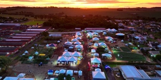 Sicredi Vanguarda promove palestra sobre mercado agrícola em São Miguel do Iguaçu