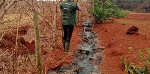 Suinocultor é multado em R$ 100 mil por infração ambiental em córrego de Toledo
