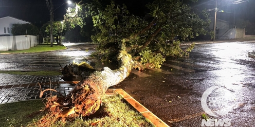 Tempestade provoca alagamentos, destelhamentos e queda de árvores em São Miguel do Iguaçu