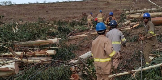 Temporais de outubro causaram mais estragos que ciclone-bomba no interior do Paraná