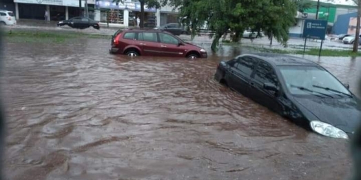 Temporal causa alagamentos, derruba árvores e descobre casas em Foz