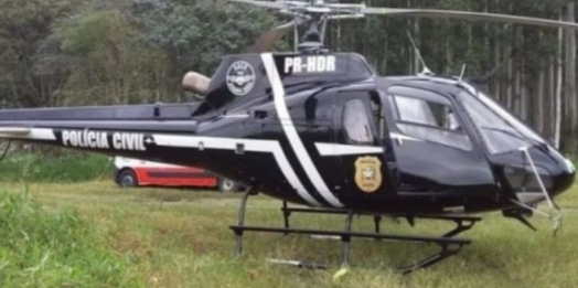 Tragédia em SC: Família é atacada por abelhas e uma pessoa morre