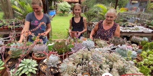 Três gerações de mulheres do agro sonham em transformar a paixão pelas plantas suculentas em um negócio