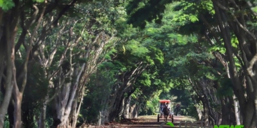 Turismo rural é opção para aumentar a renda no campo