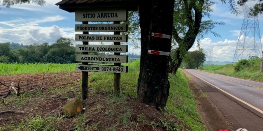 Turismo Rural: Reconectando-se com a Natureza