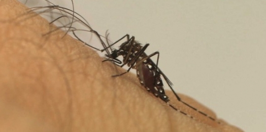Último dia do arrastão contra a dengue em Missal será nesta sexta-feira (9)