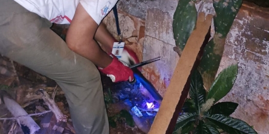 Vigilância em Saúde vai realizar busca ativa por escorpiões toda terça-feira em São Miguel do Iguaçu