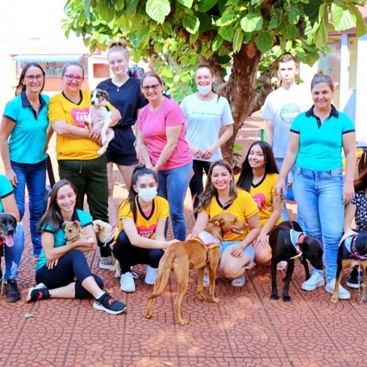1ª ADOCÃO encanta moradores de Itaipulândia e nove cães são adotados