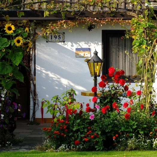 A casa da flor