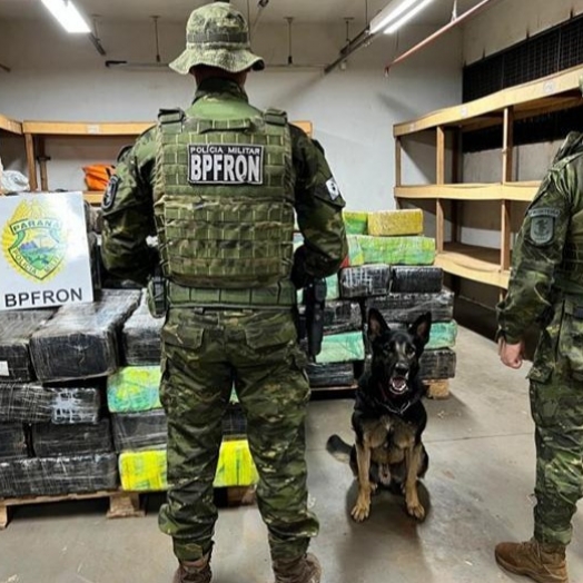 Ação policial apreende mais de R$ 10 milhões em drogas no interior de Santa Helena