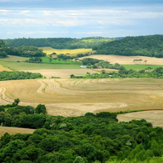Acordo permitirá a compra de 3 mil hectares de terras paras indígenas em Santa Helena e região