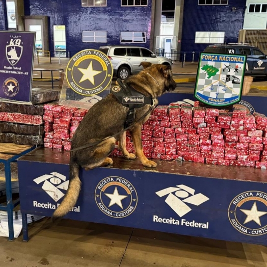 Agente Canino Pike localiza 248 kg de substância análoga à maconha em van paraguaia na Aduana da Ponte da Amizade