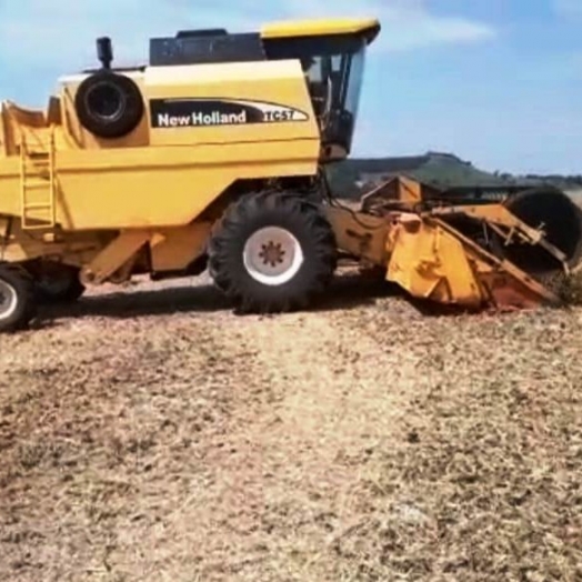Agricultor aproveita clima bom e acelera colheita da soja em Medianeira