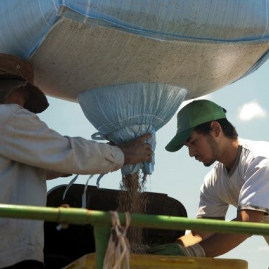 Agricultores estão apreensivos com alta dos insumos no Paraná