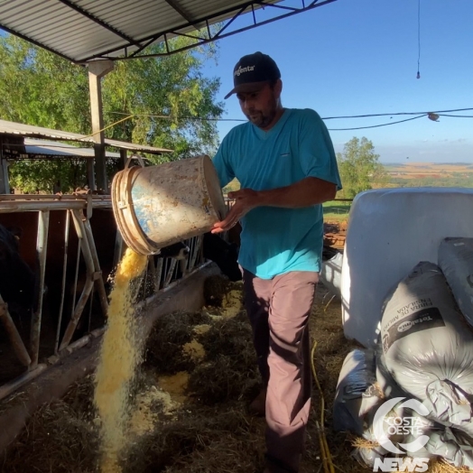 Agroforte está transformando a realidade dos produtores rurais em Itaipulândia