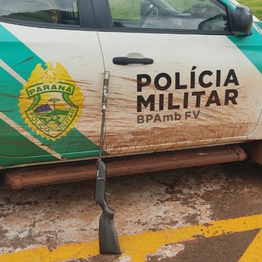 Armas de fogo, munições e armadilhas são apreendidas em São Miguel do Iguaçu