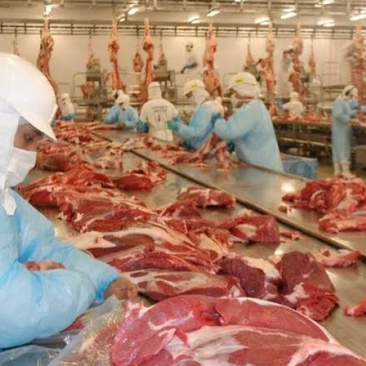 Aumento na produção de carnes garante abastecimento interno e exportações, aponta Conab