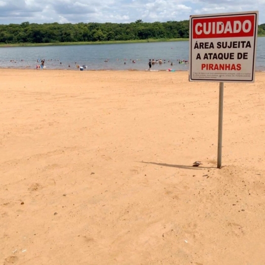 Bombeiros reforçam alertas sobre ataques de piranhas nas praias da Costa Oeste