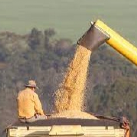 Bônus da PGPAF inclui milho e sorgo entre os produtos contemplados em março