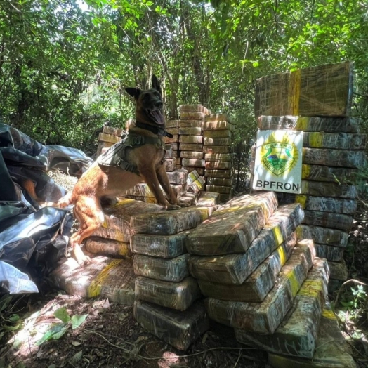 BPFRON apreende 1,5 tonelada de droga em Santa Helena