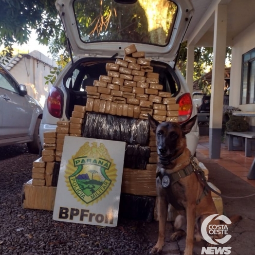 BPFron apreende mais de 200 kg de maconha em Santa Helena e detém uma pessoa