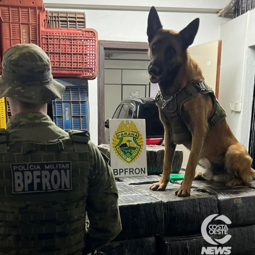 BPFRON apreende uma tonelada de droga em Santa Helena
