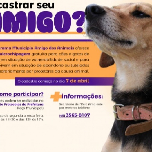 Cadastros para o programa de castração de cães e gatos inicia na próxima segunda-feira (07)