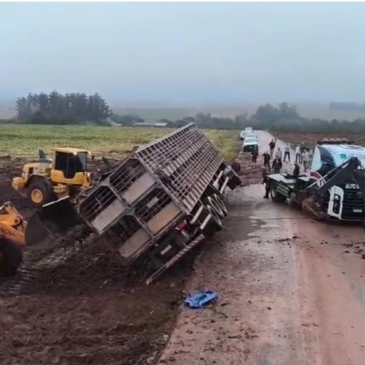 Caminhão transportando suínos tomba durante a madrugada em Santa Helena
