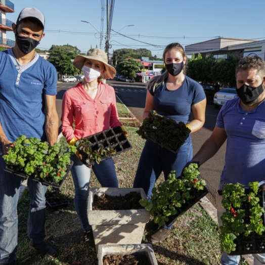 Canteiro Central da Avenida Dom Geraldo Sigaud em Missal recebe plantio de flores