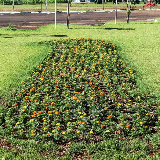 Canteiros de flores ganham cor em Serranópolis do Iguaçu