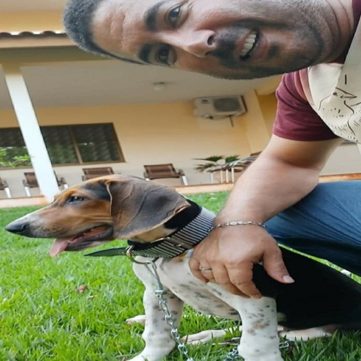 Cãozinho do padre Valdeni desaparece novamente