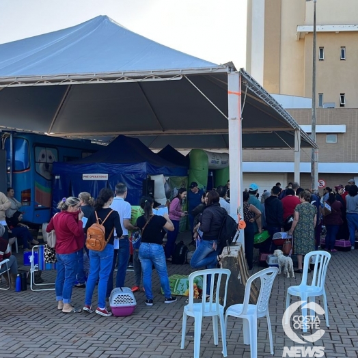 CastraPet Paraná realizou 250 cirurgias de castração ontem em Medianeira