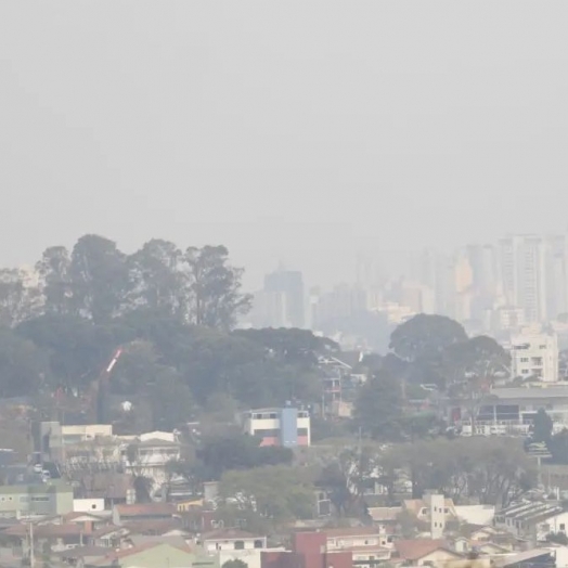 Chegada do outono marca o início da “temporada de neblinas” no Paraná