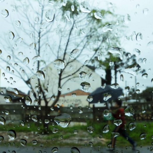 Chuva traz alívio para agricultores e produtores; maior precipitação chegou a 46mm, o menor foi de 8mm na região