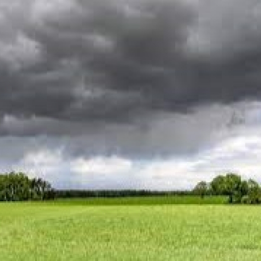 Chuvas irregulares e altas temperaturas impactam cultivos em algumas regiões