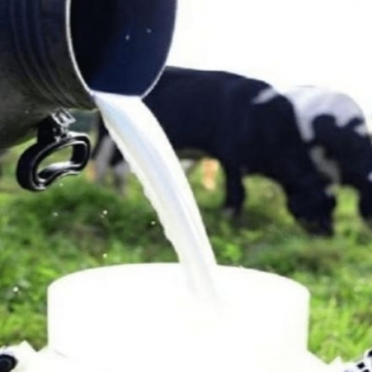 CNA e federações debatem medidas estaduais para conter importações de leite