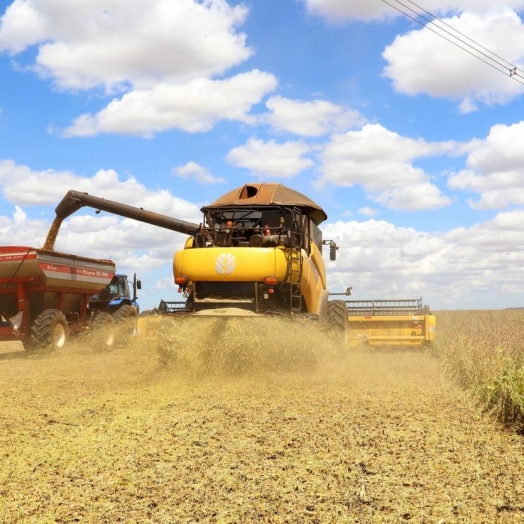 Colheita da soja evolui de 17% para 30% na última semana no Paraná