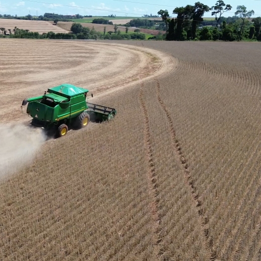 Colheita da soja safra 2026