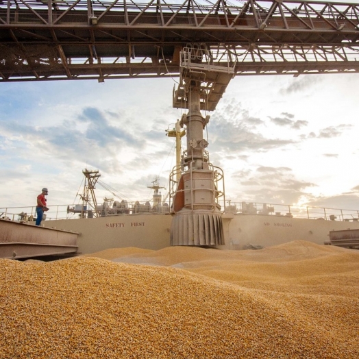 Com alta da soja, Paraná registra maior volume de exportações para janeiro da história