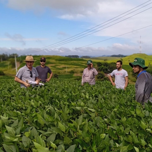 Com assistência do IDR-PR, soja orgânica aumenta rendimento de produtores de Jardim Alegre