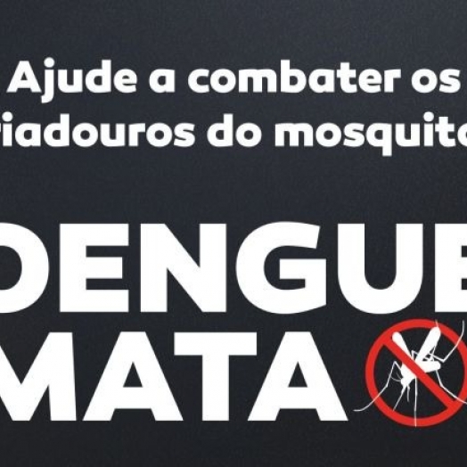 Com uma morte em investigação, dengue continua escalada de crescimento em Santa Helena