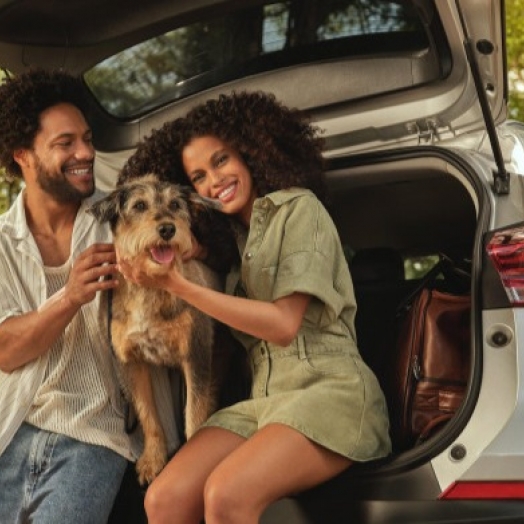 Comece o ano no verde: veja estratégias para manter o saldo positivo em 2026