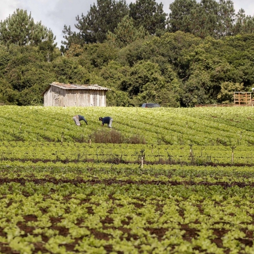 Conab, MDA e Incra debatem novos desafios para fortalecer agricultura familiar