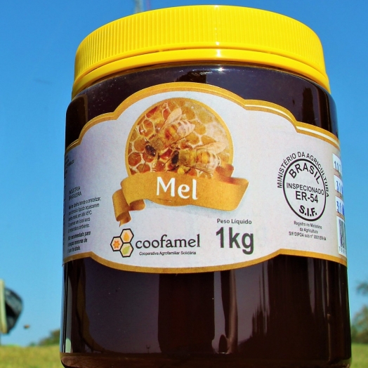 Coofamel conquista o SIF possibilitando a produção e exportação do mel a partir de Santa Helena