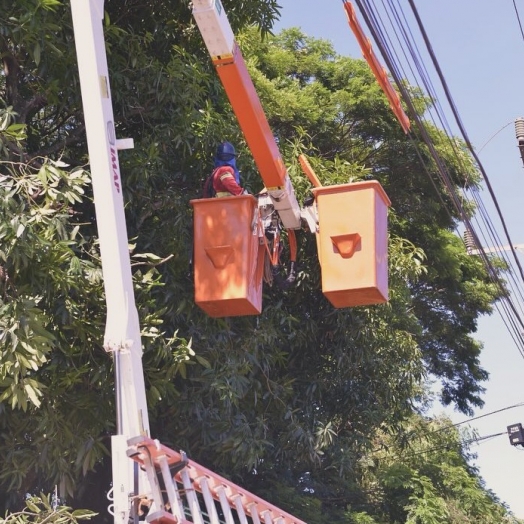Copel realiza manutenção preventiva na rede elétrica de Santa Terezinha de Itaipu