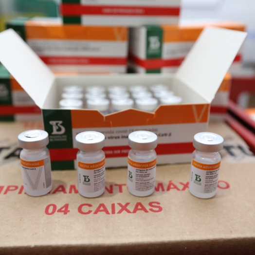 CoronaVac é 83,5% eficaz contra covid-19, diz universidade turca