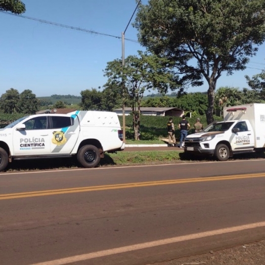 Corpo de homem é encontrado às margens da PR-495 em Serranópolis do Iguaçu